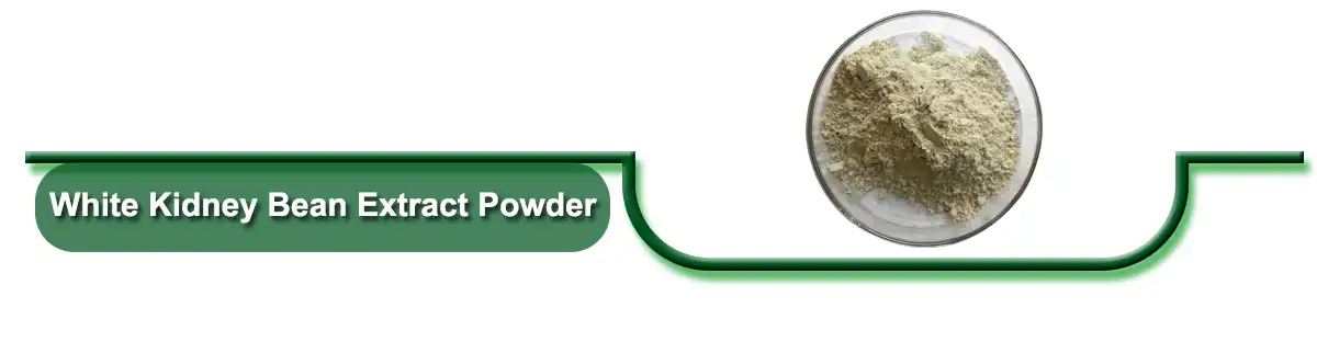 White Kidney Bean Extract.jpg